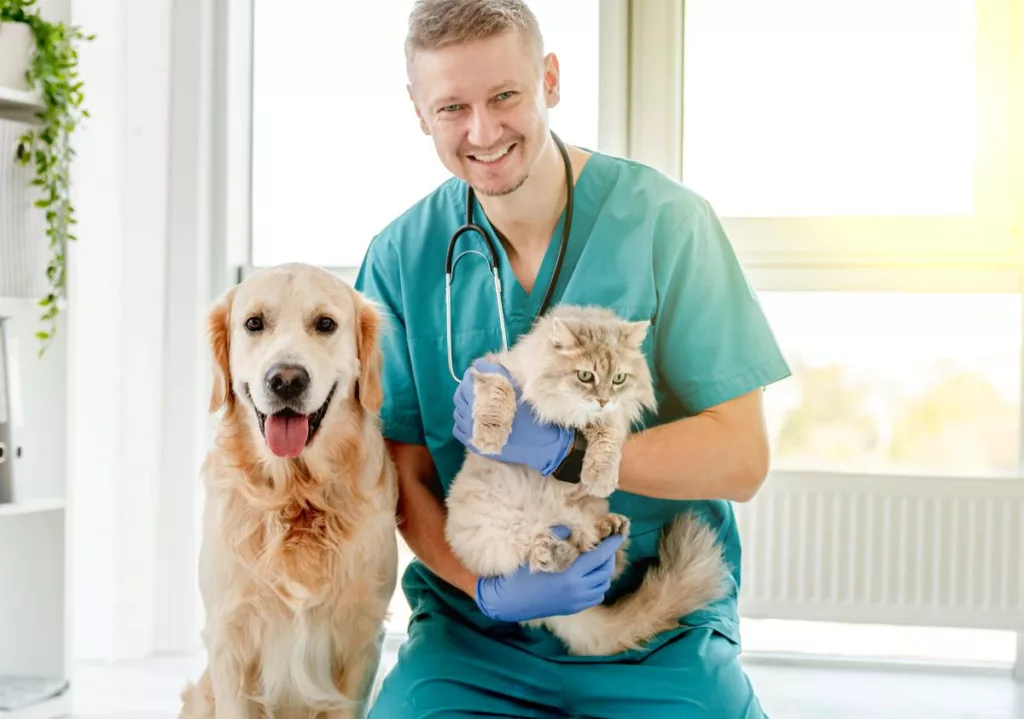 Un vétérinaire soignant un chien et un chat dans un dispensaire, avec le tarif social vétérinaire.