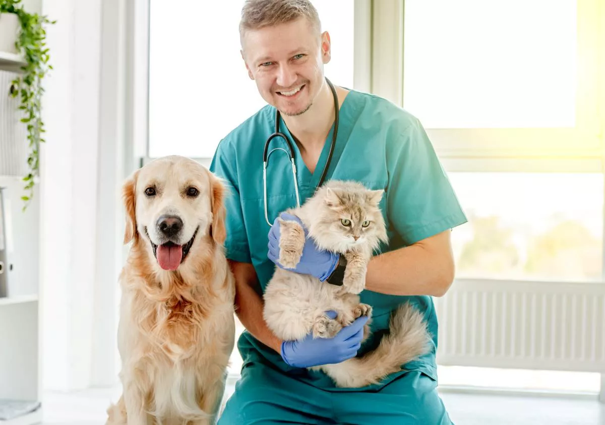 Un vétérinaire soignant un chien et un chat dans un dispensaire, avec le tarif social vétérinaire.